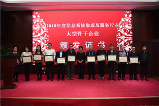 南瑞集團榮獲信息系統集成及服務行業大型骨干企業稱號